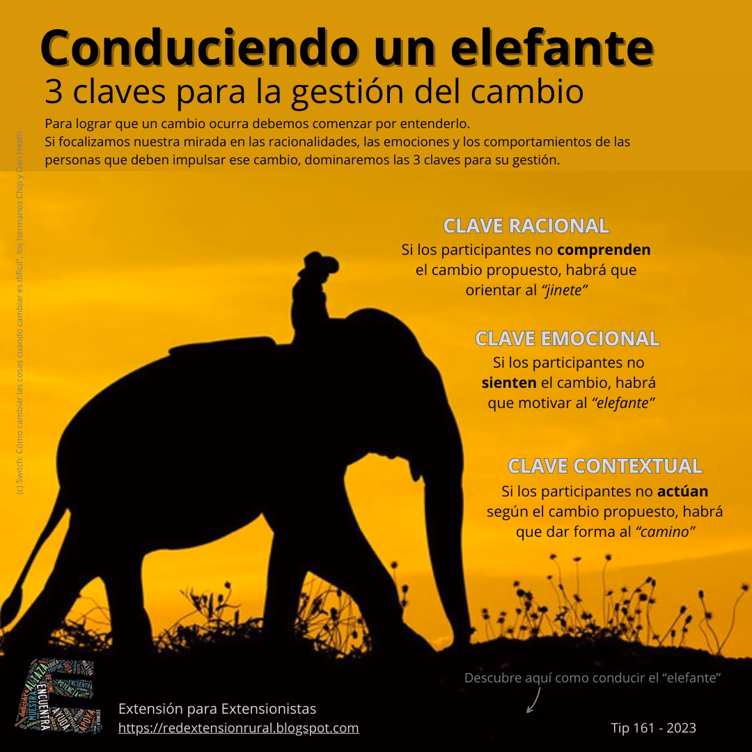 ¿Qué es el cambio de Switch?