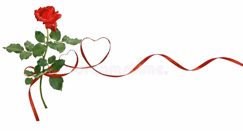 ¿Qué significa la palabra corazón de seda?