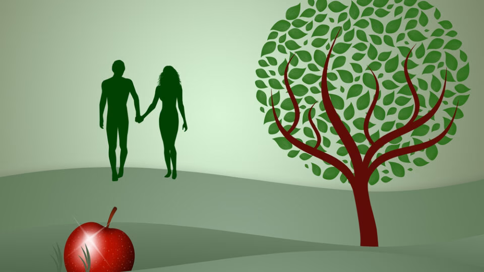 ¿Qué significa la metáfora de la manzana de Adán?