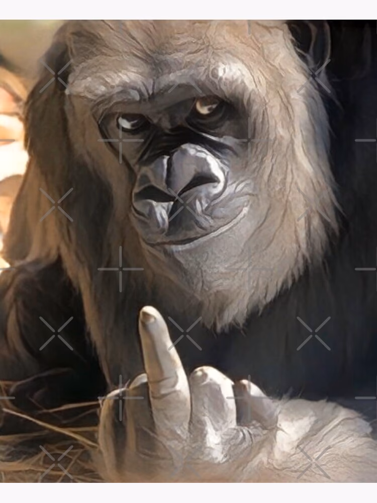 ¿Qué significa la metáfora del mono?