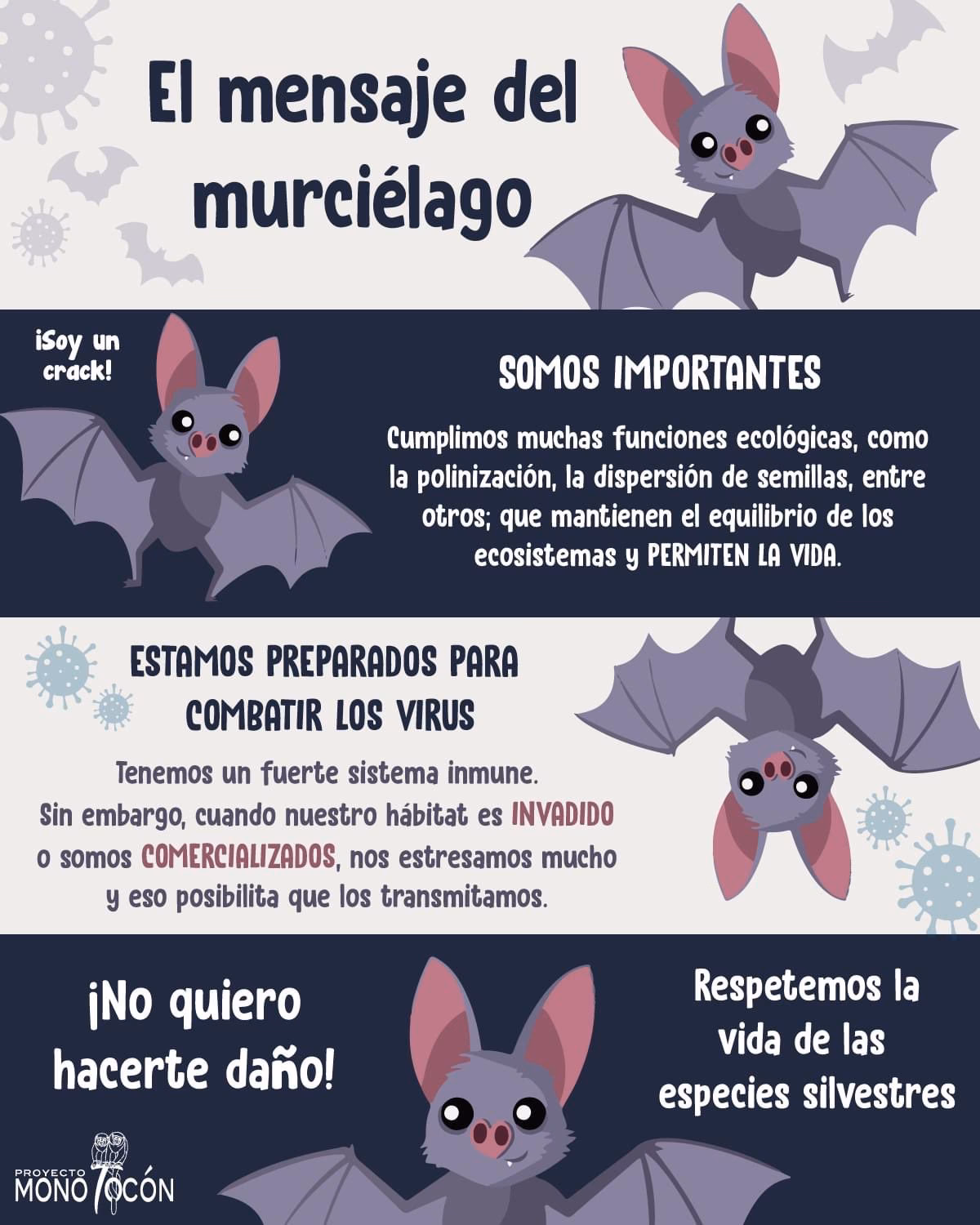 ¿Qué significa que se meta un murciélago?
