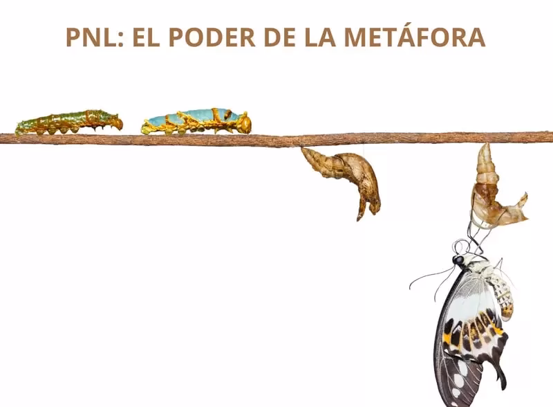¿Qué son las metáforas en PNL?