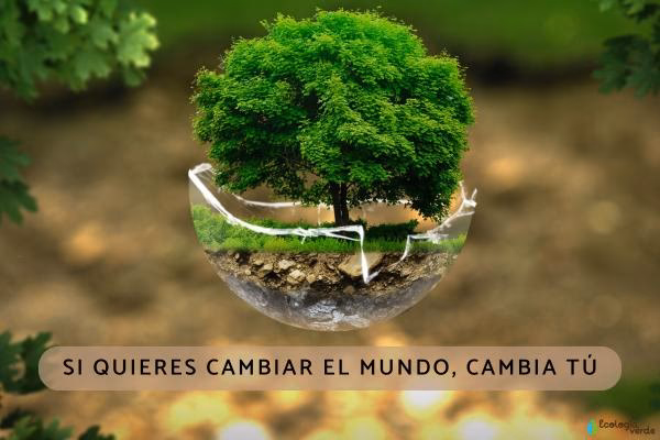¿Cuáles son algunos títulos llamativos sobre el medio ambiente?