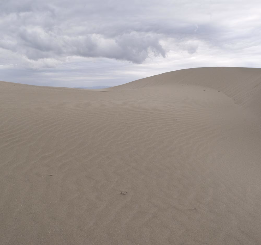 ¿Qué significa la metáfora del horizonte?
