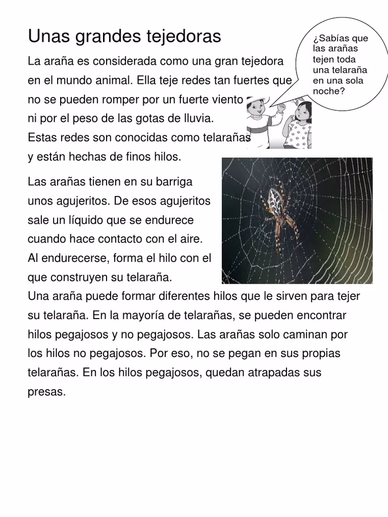 ¿Qué es una metáfora de una araña?