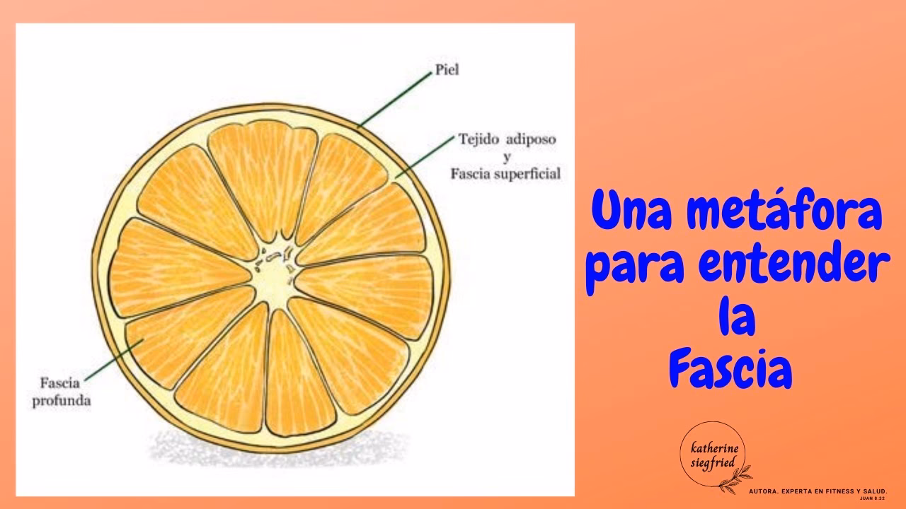 ¿Cuáles son las metáforas del poema naranjas?