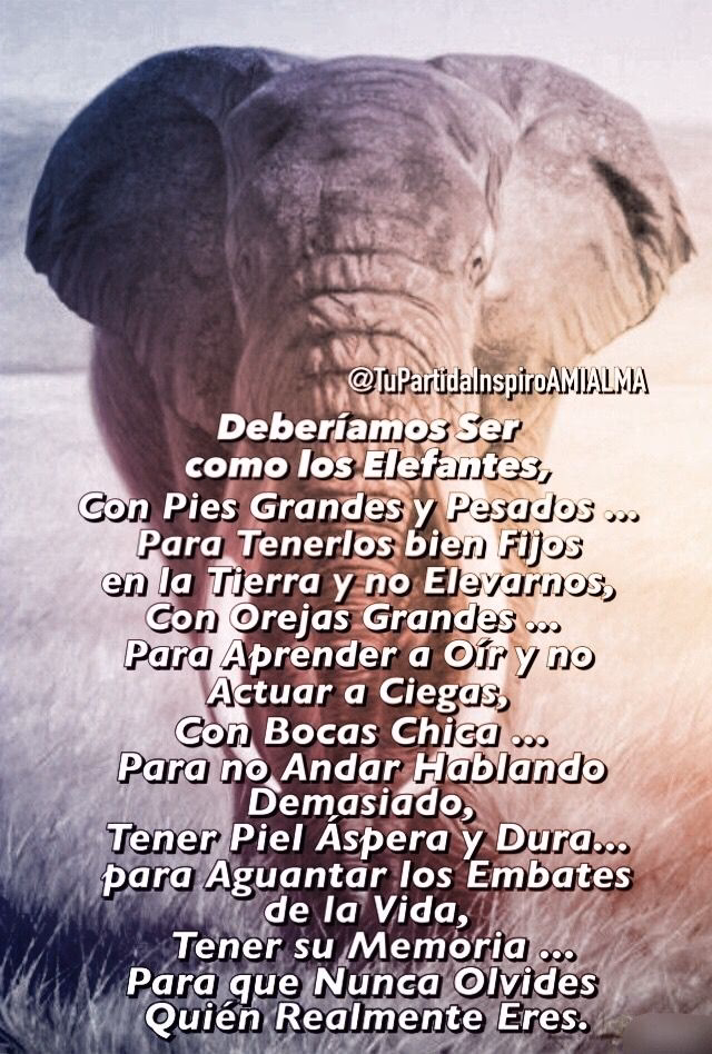 ¿Cuál es una metáfora de la desaparición del elefante?