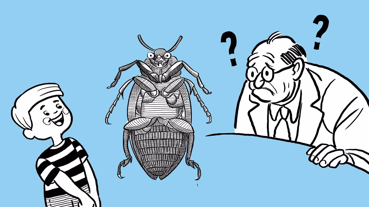 ¿Cuál es la paradoja de Wittgenstein?