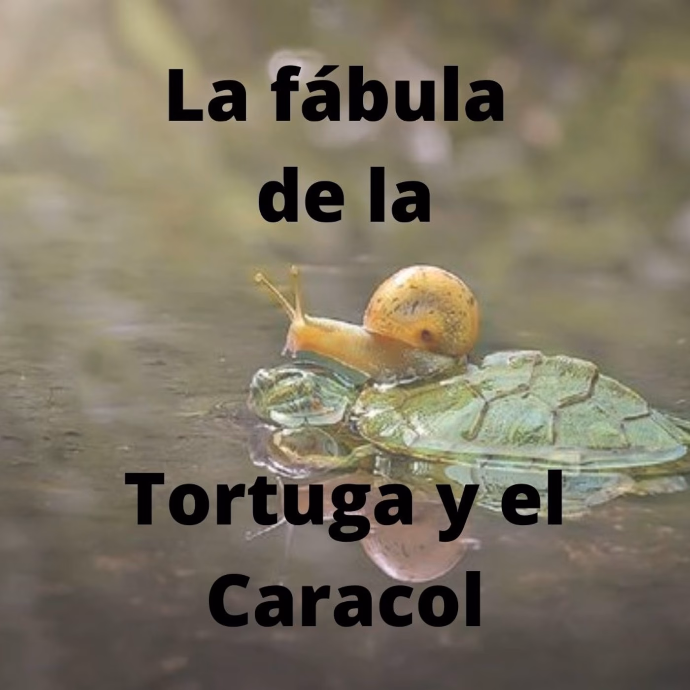 ¿Cuál es la moraleja de la historia de la tortuga?