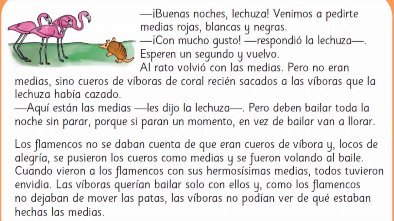¿Qué mensaje nos dan las medias de los flamencos?