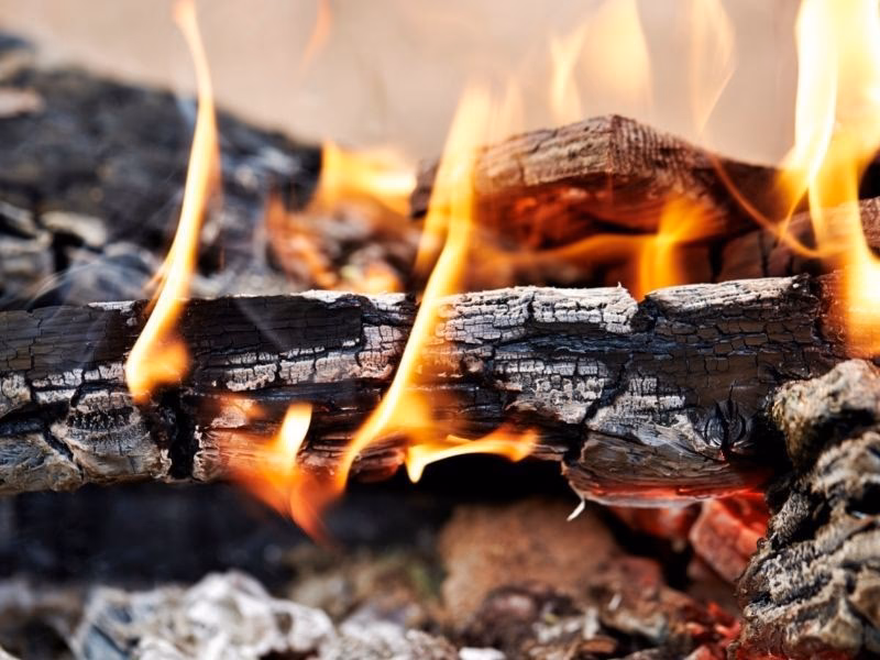 ¿Qué diferencia hay entre el carbón vegetal y el carbón de leña?