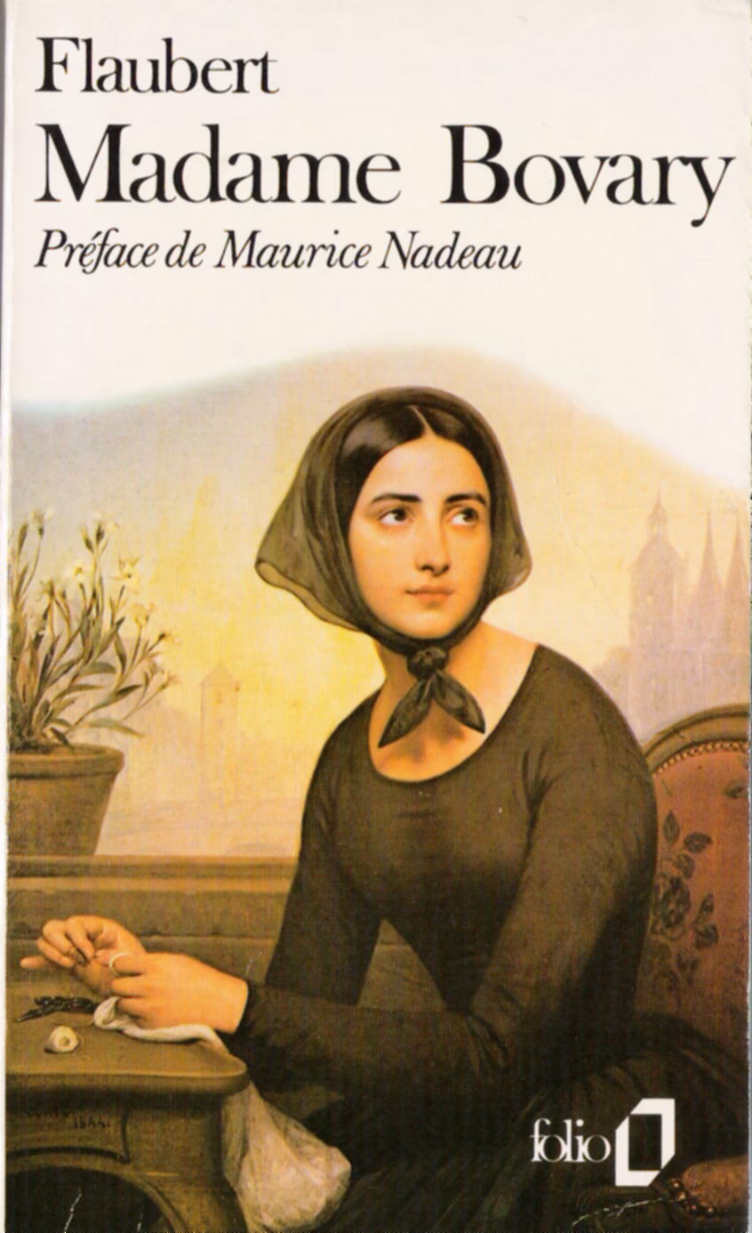 ¿Qué temas aborda Madame Bovary?