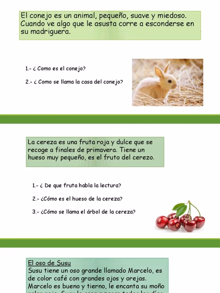 ¿Cuál es el significado metafórico del conejo?