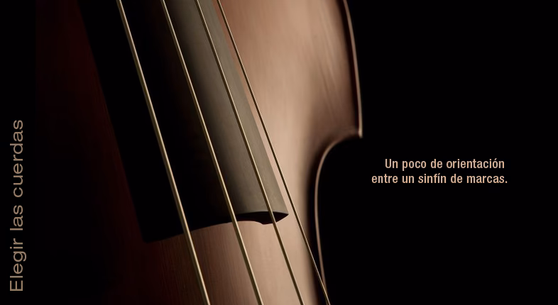 ¿Cómo se llaman las cuerdas de los violines?