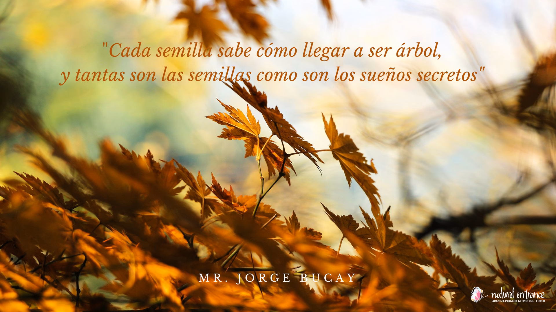 ¿Qué simboliza la semilla de la parábola del sembrador?