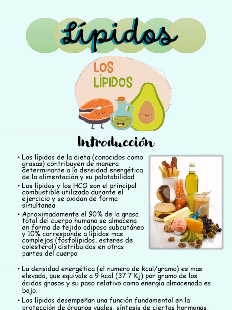 ¿Cuáles son las 5 funciones de los lípidos?