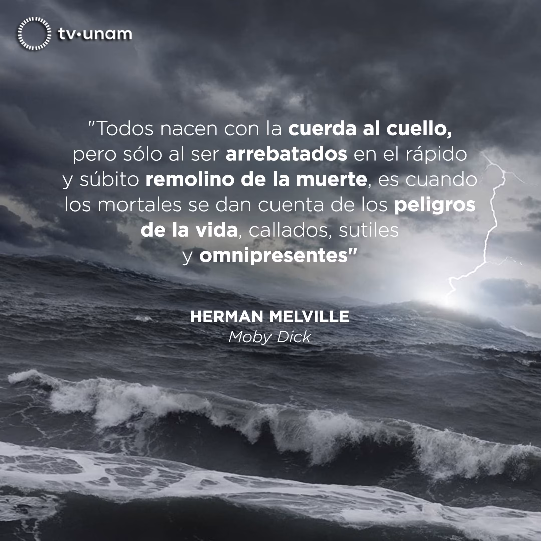 ¿Qué tipo de ballena era Movidic?