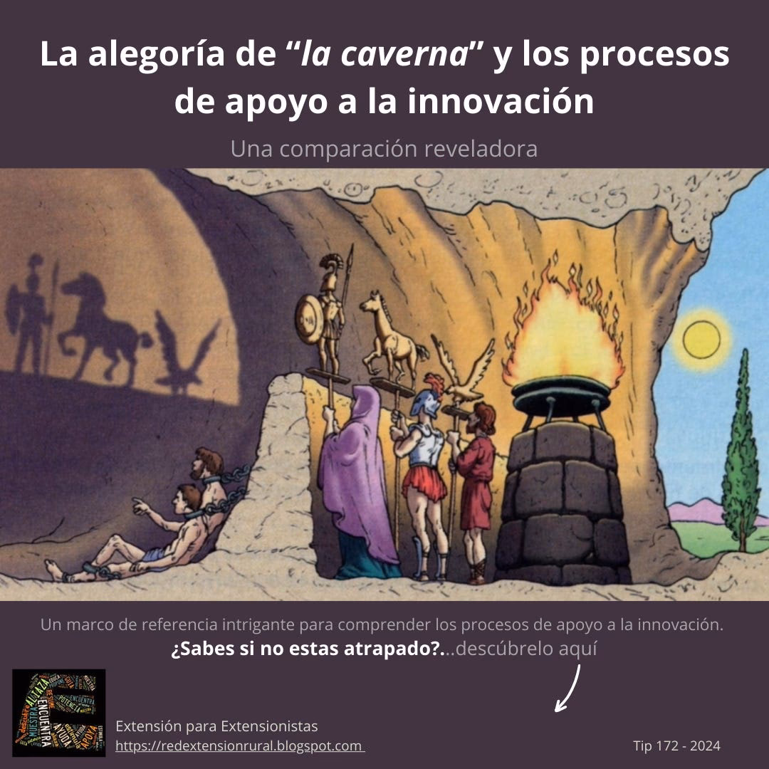 ¿Qué es la metáfora de la línea de Platón?