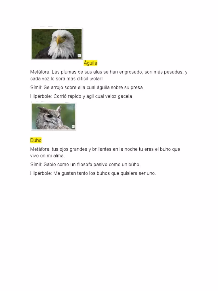 ¿Cuál es una metáfora de rápido?