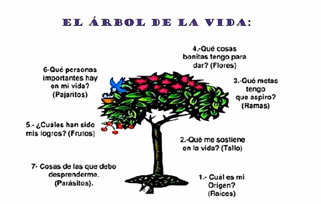 ¿Qué significa la frase "arbol de la vida"?