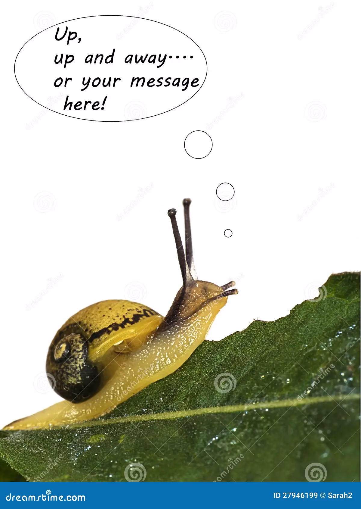 ¿Cómo es el dicho del caracol?