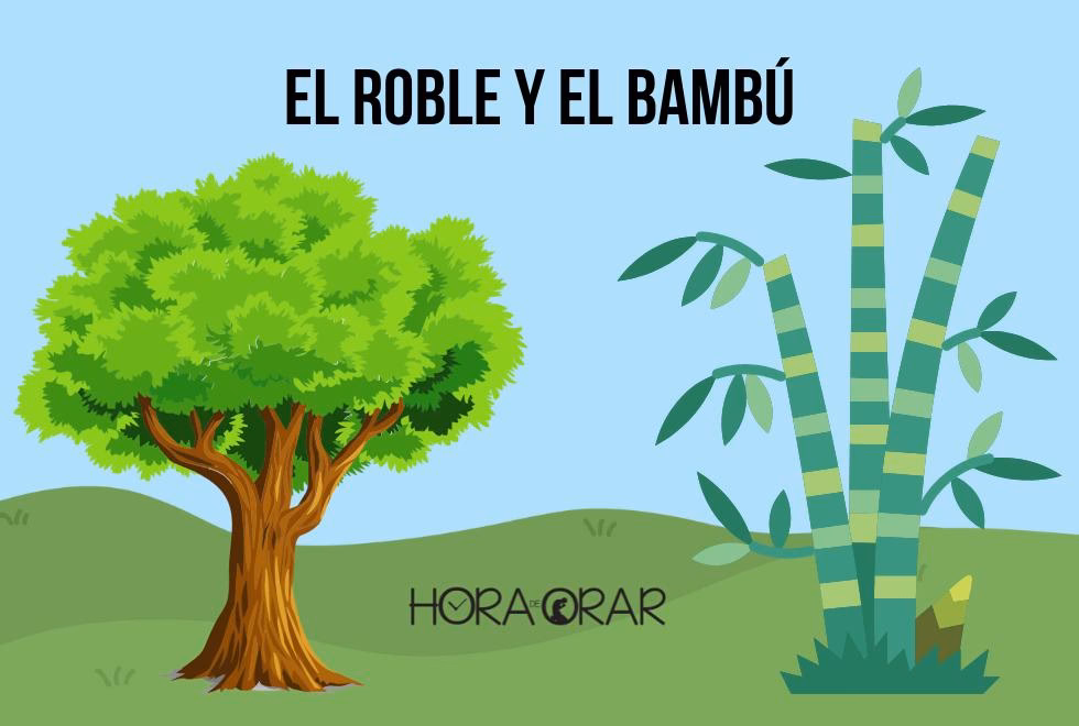 ¿Qué mensaje nos deja la historia del bambú?