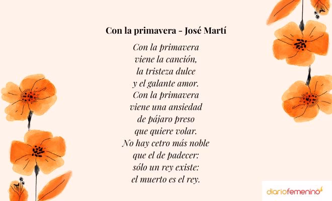 ¿Qué significa la corola en la flor?