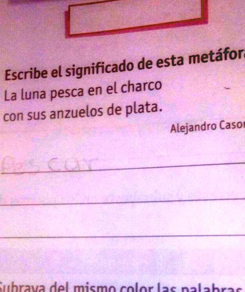 ¿Qué son los charcos?