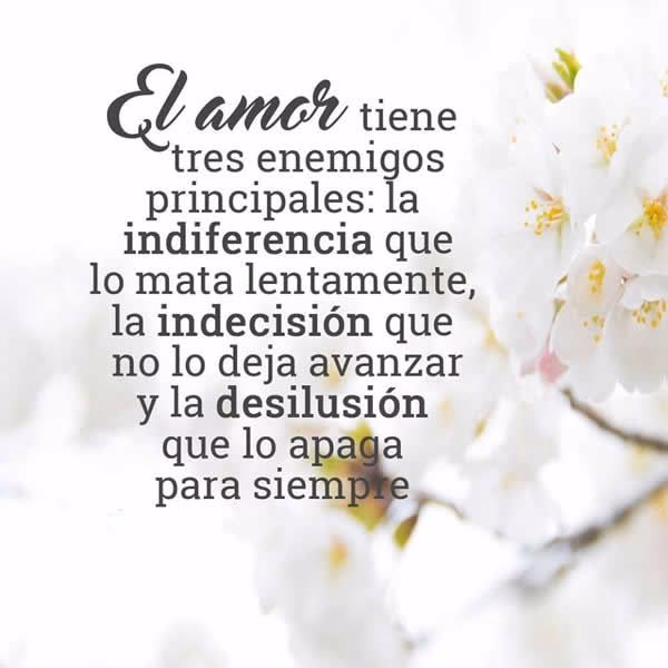 ¿Qué dice la Biblia sobre amar a los enemigos?