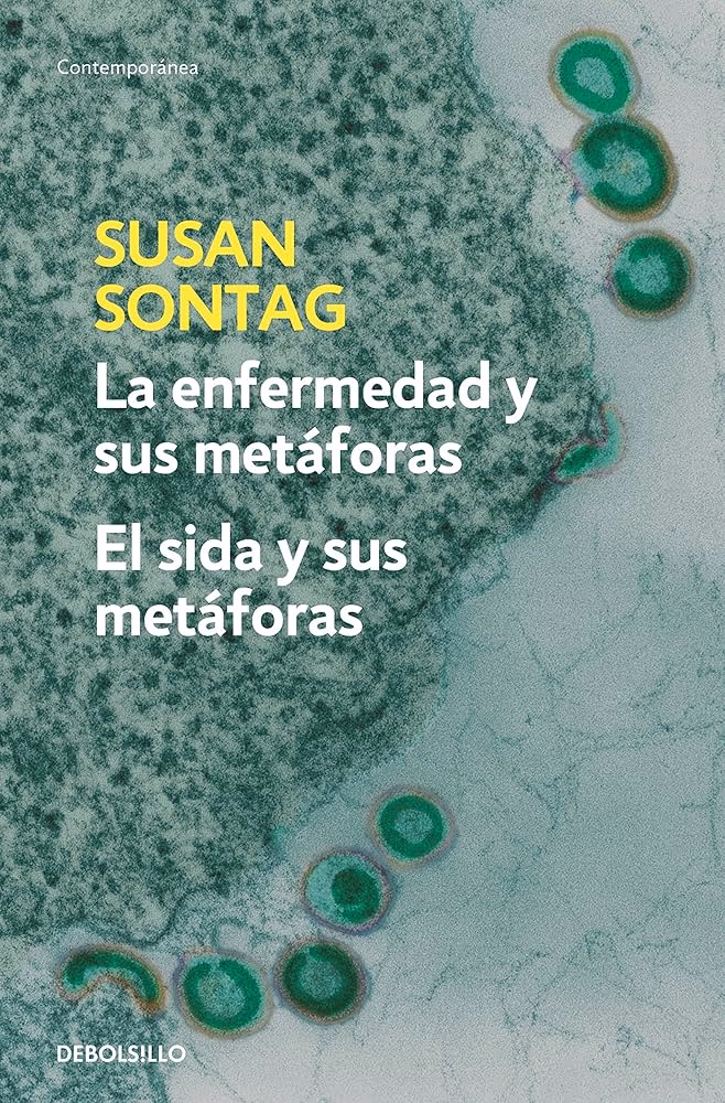 ¿Qué dice Susan Sontag sobre el arte?
