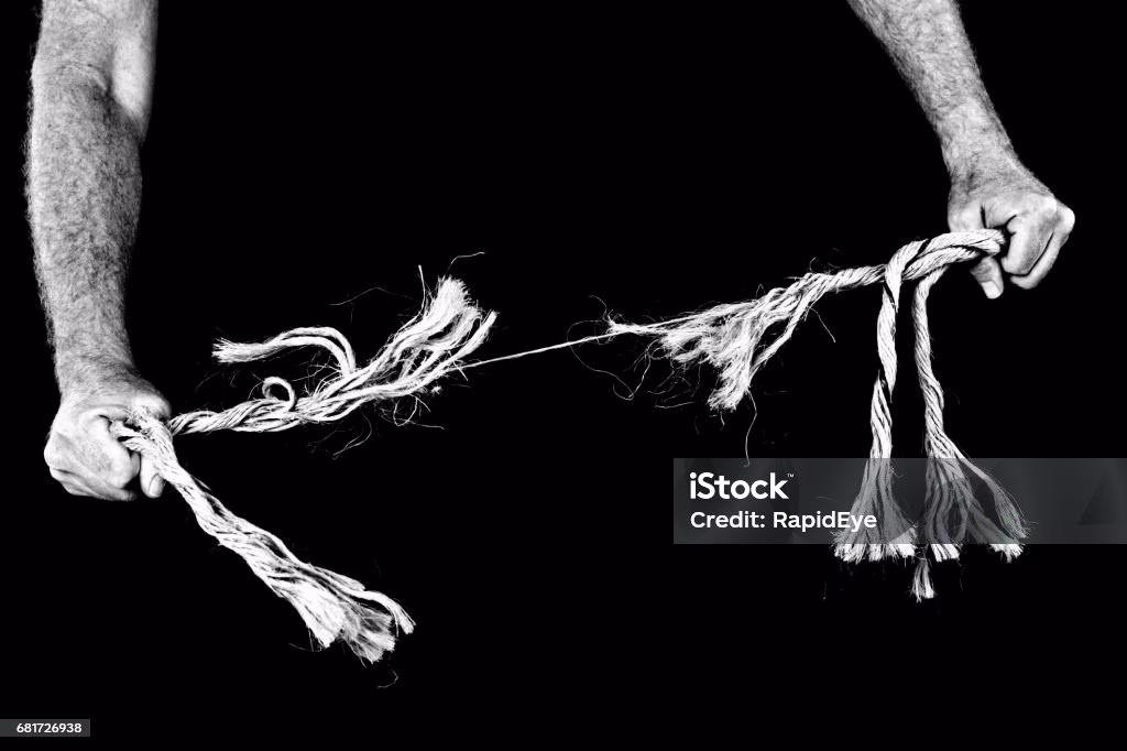 ¿Qué es la metáfora de la hierba?