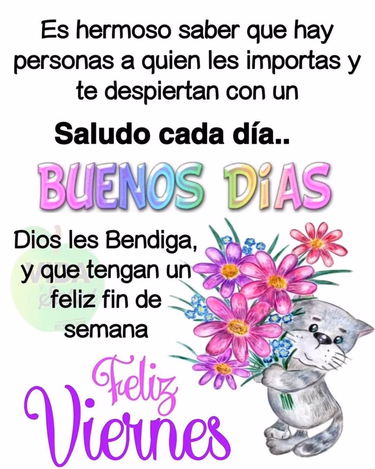 ¿Cuál es un buen dicho para el viernes?