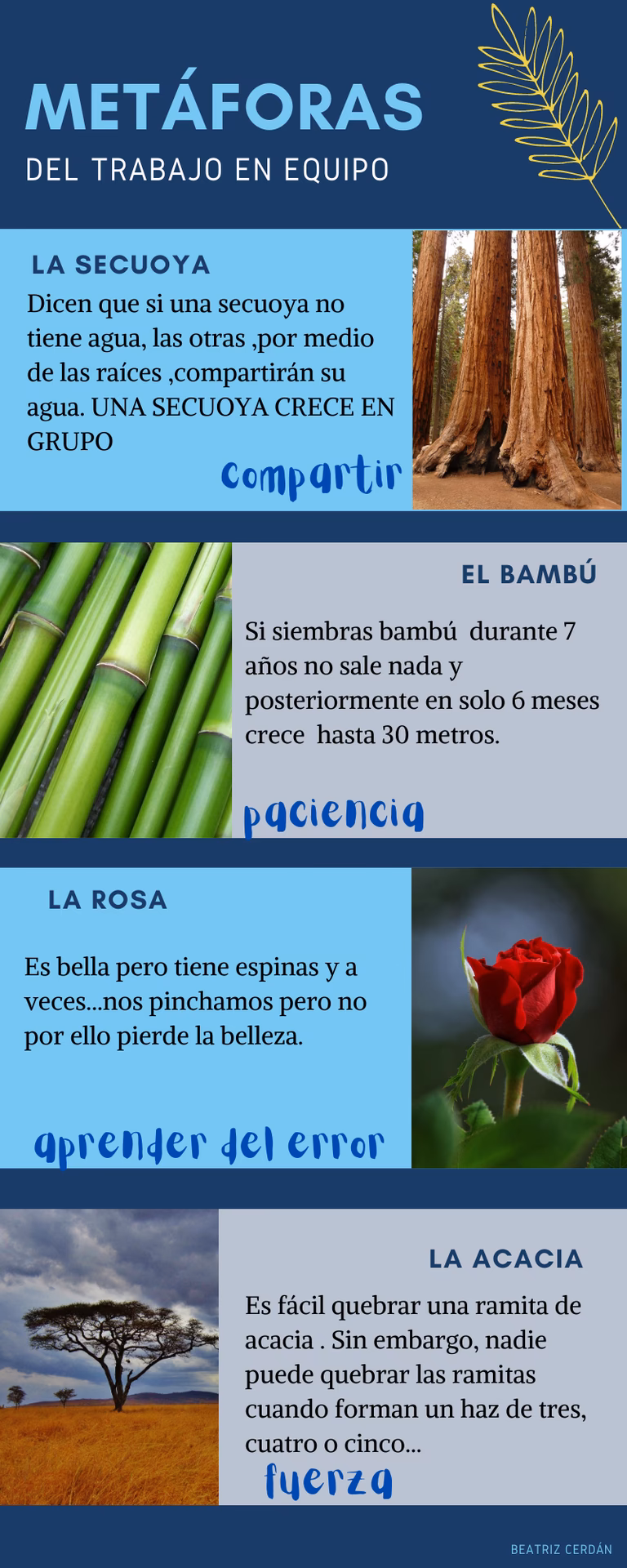 ¿Cuanta metáfora de compañeros de equipo?