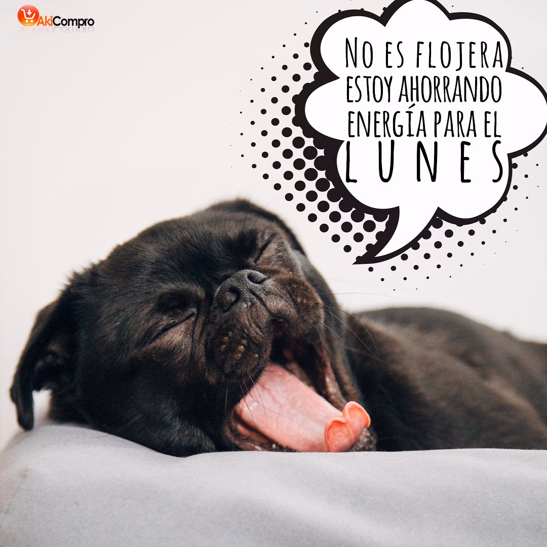 ¿Cómo se llama la emoción de flojera?