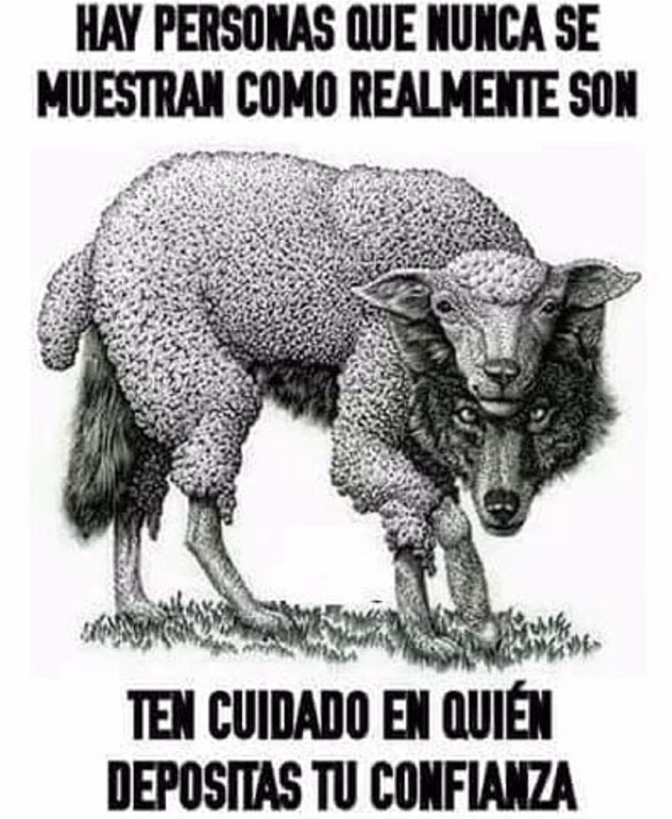 ¿Qué significa la expresión 