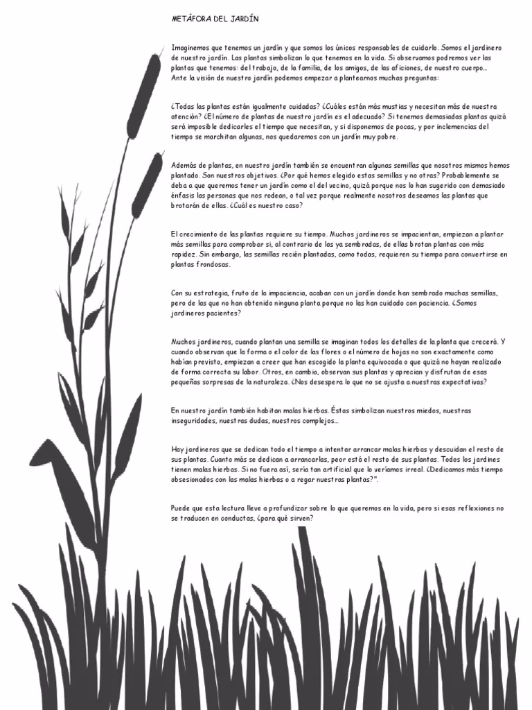 ¿Qué es una metáfora de una semilla?