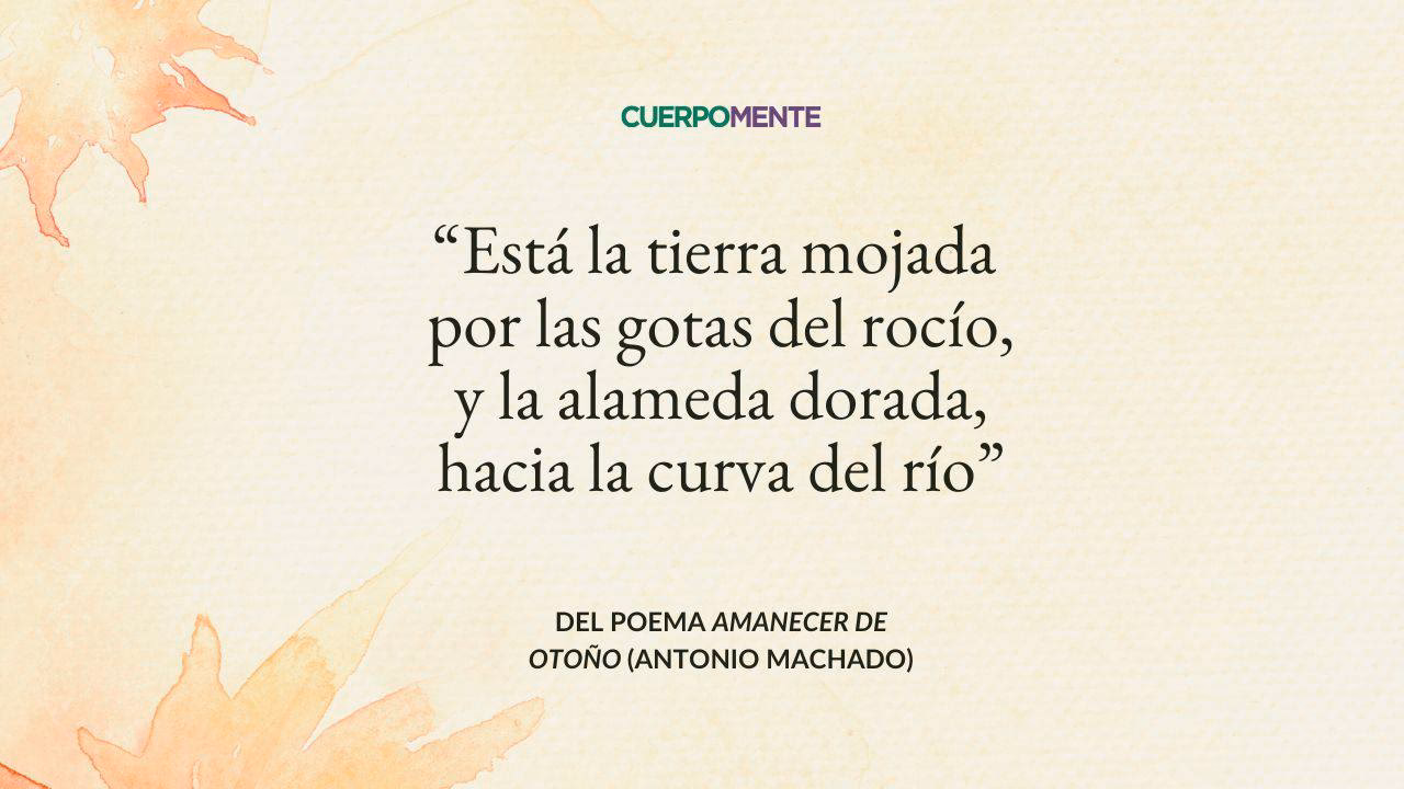 ¿Quién escribió Sonata de Primavera?