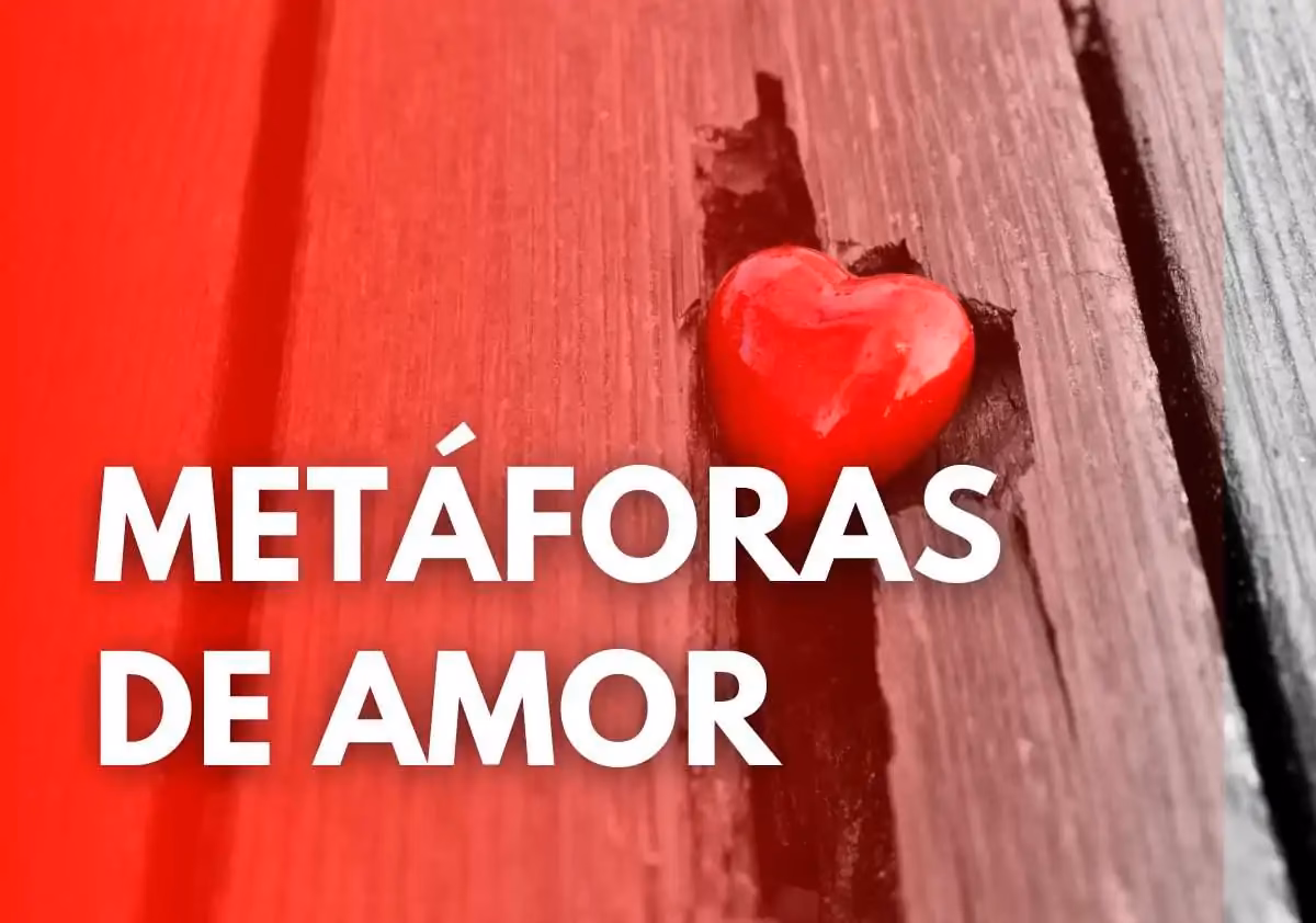 ¿Cuál es otra forma de decir "te amo más"?