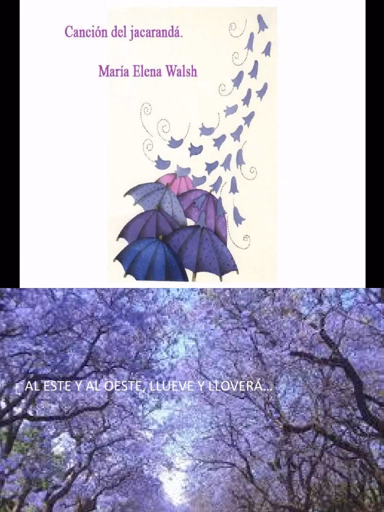 ¿Qué significa el nombre Jacaranda?