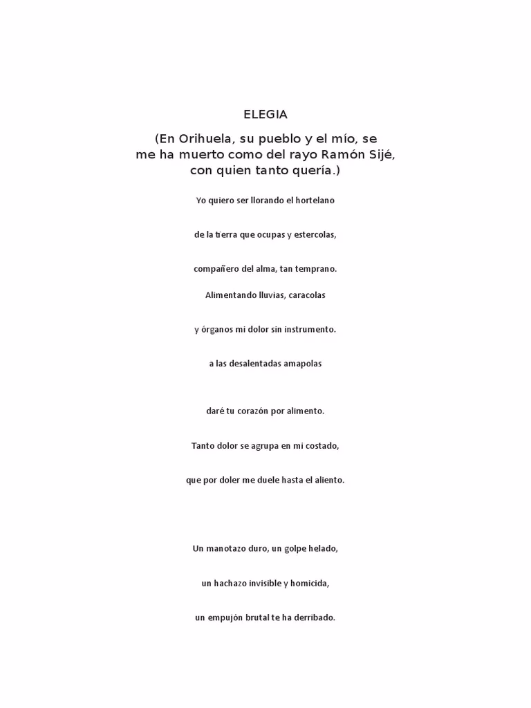 ¿Qué quiere decir el poema elegía?