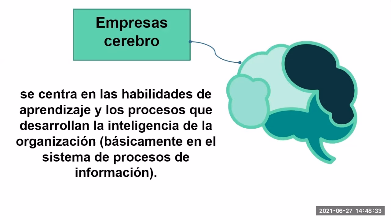 ¿Cuál es la metáfora de la organización como cerebro?