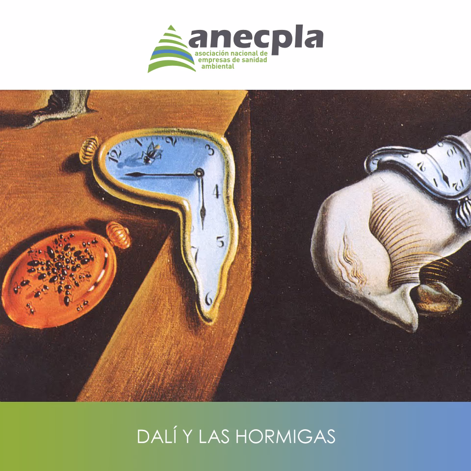 ¿Qué significa el elefante de Dalí?