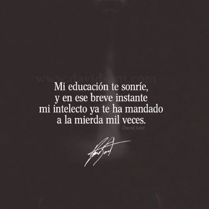 ¿Qué palabras decir para insultar?