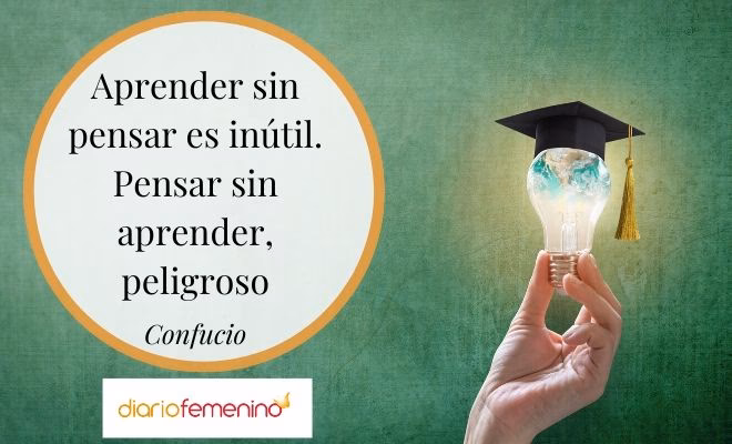 ¿Cuáles son algunas frases bonitas sobre la educación?