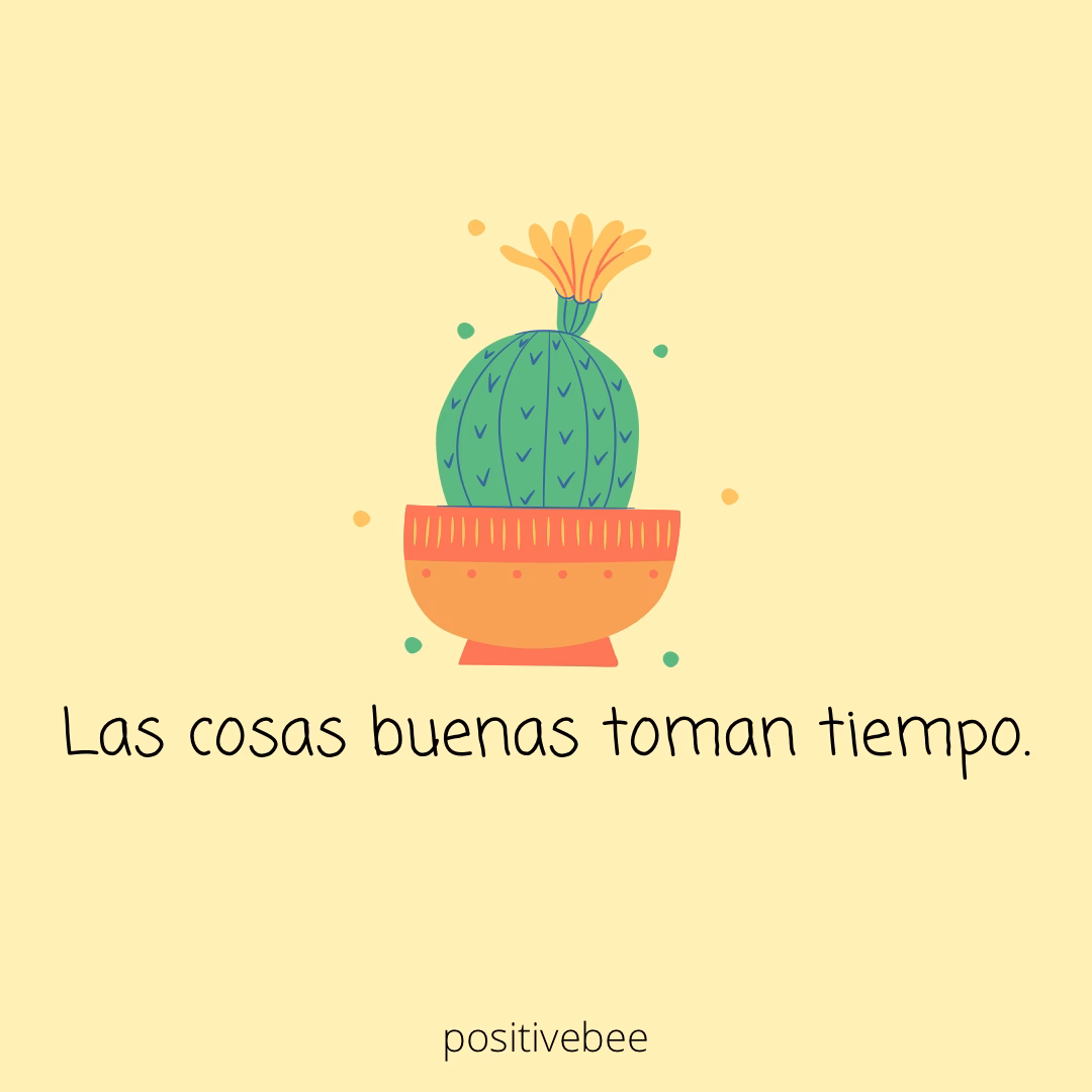 ¿Cuál es una frase bonita sobre las plantas?