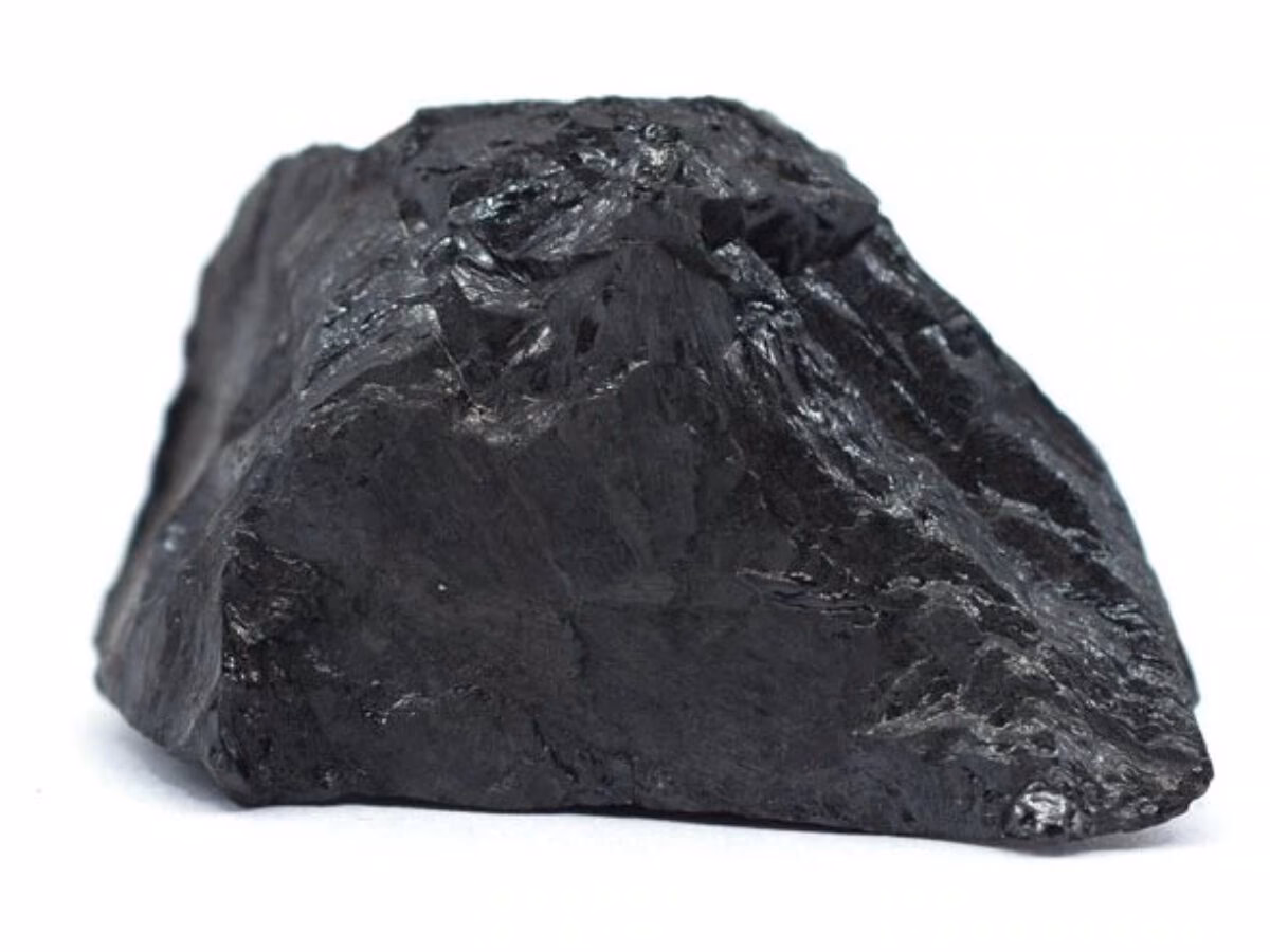 ¿Qué tipo de rocas son el carbón y el petróleo?