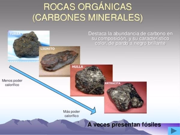 ¿Cuáles son los minerales combustibles?