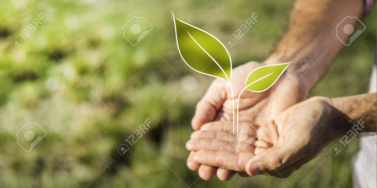 ¿Cómo describir a la naturaleza?