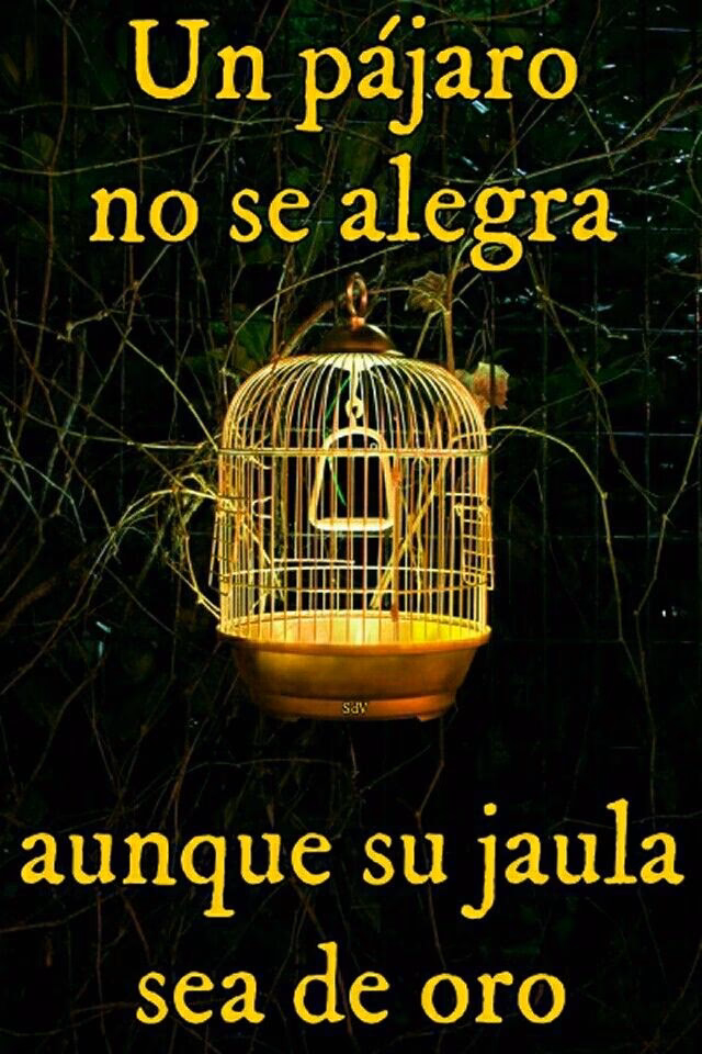 ¿Qué significa la frase un pájaro en una jaula de oro?