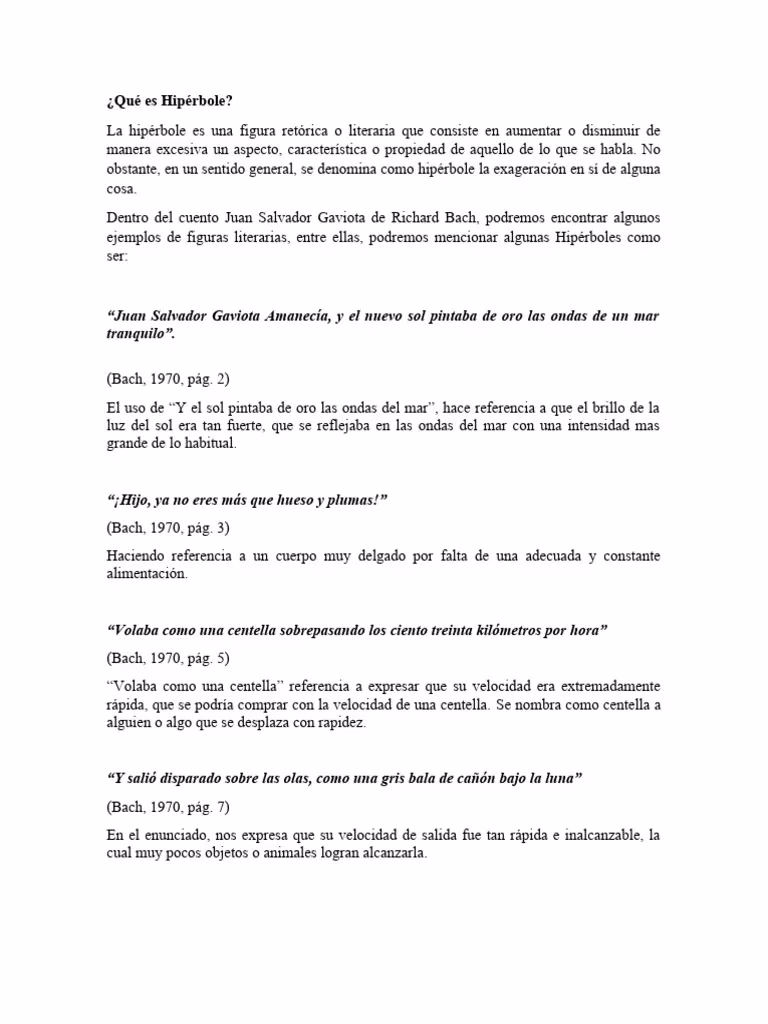 ¿Cuál es el mensaje principal que transmite Juan Salvador Gaviota?